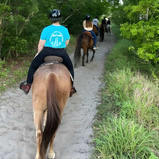 Horseback Ride on Scenic Lake Louisa Trails