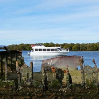 90 Minute Port River Dolphin & Ships Graveyard Cruise