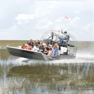 Florida Everglades Airboat Adventure and Wildlife Encounter