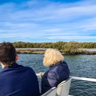 90 Minute Port River Dolphin & Ships Graveyard Cruise