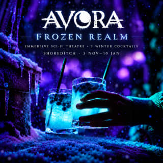 Avora: Frozen Realm