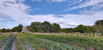 Queens County Farm Museum