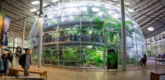 California Academy of Sciences