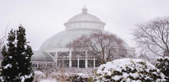 New York Botanical Garden