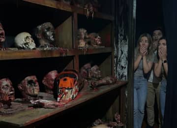 Casa do Terror 5
