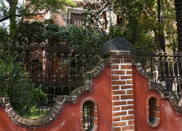 El Coyoacán de Frida 5