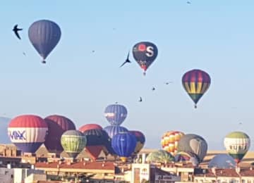 Festival de Globos 2026. Desayuno en el Hotel Real Segovia 3
