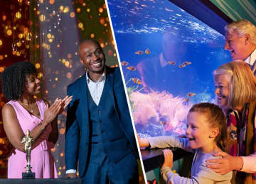 Madame Tussauds & SEA LIFE Aquarium 2