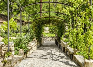 Visita guiada a la Real Casa de Moneda, Centro de Interpretación del Acueducto y Jardín del Rey 4