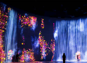 Superblue Miami: Experiencias de Arte Inmersivo 5