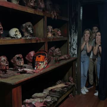 Casa do Terror 5