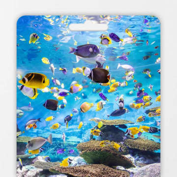 SEA LIFE COEX 首尔水族馆官方礼品票 1