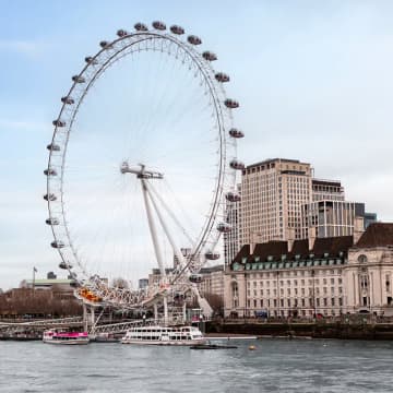 SEA LIFE London Aquarium + London Eye: Standard Ticket 6