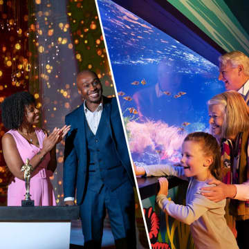 Madame Tussauds & SEA LIFE Aquarium 2
