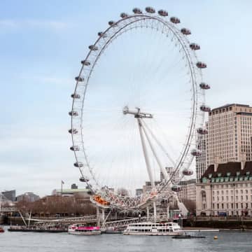 SEA LIFE + London Eye + Shrek’s Adventure! 7