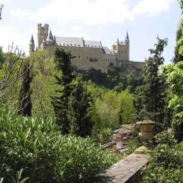 Romeral de San Marcos (Jardín de Leandro Silva) 1