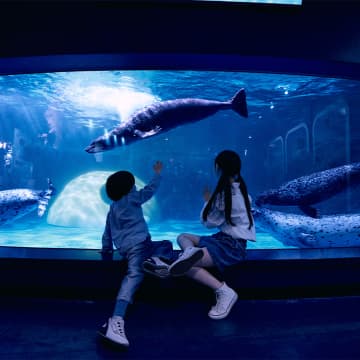 SEA LIFE COEX 首尔水族馆官方门票 7