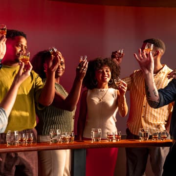 Jameson Experience with Tasting (in German) 1