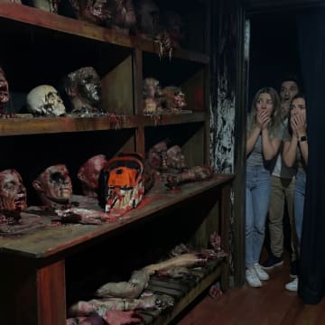 Casa do Terror 5