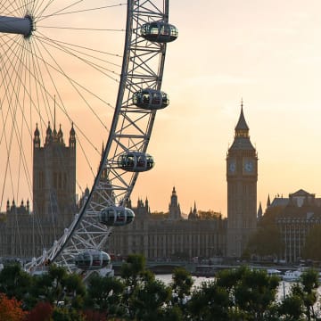 SEA LIFE London Aquarium + London Eye + Shrek’s Adventure! 4