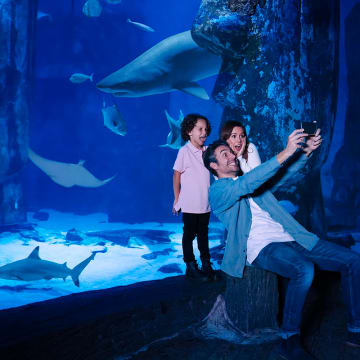 The London Dungeon + SEA LIFE London Aquarium 3