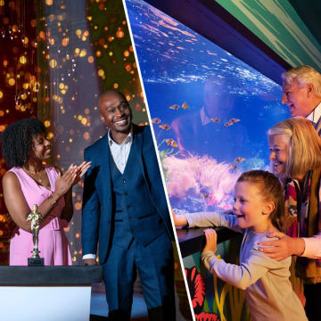 Madame Tussauds & SEA LIFE Aquarium 2