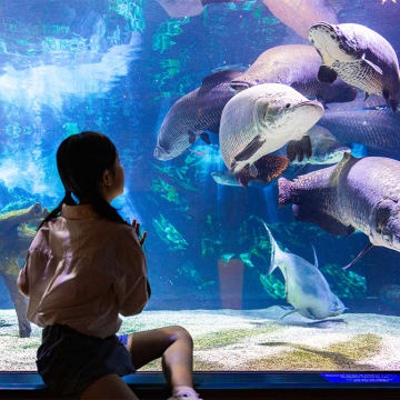 SEA LIFE COEX, Seoul Aquarium Official Tickets 6