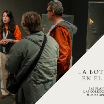 Visita comentada: La botánica en el arte 1