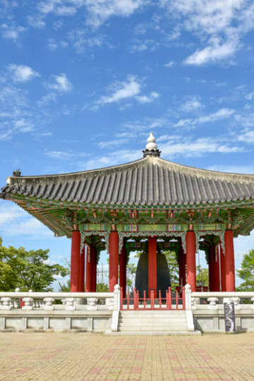 Paju