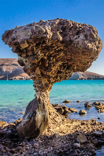 La Paz