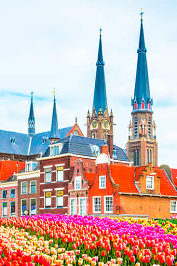Delft