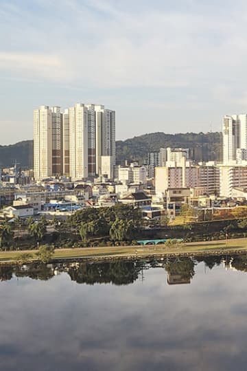 진주