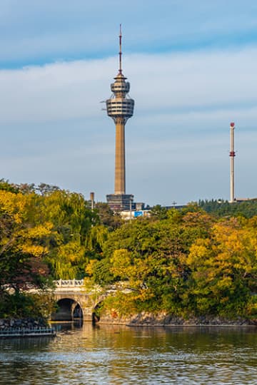 Daegu