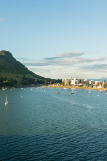 Tauranga