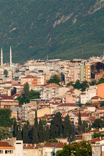 Bursa