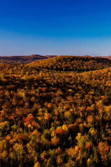 Laurentides
