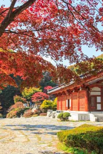 Yongin