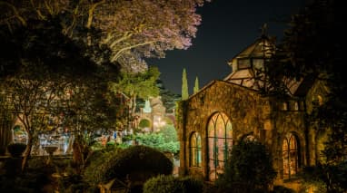 Shepstone Gardens