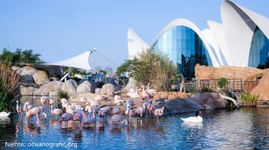 Oceanogràfic Valencia