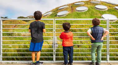 California Academy of Sciences