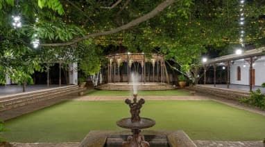 The Tamarind Tree