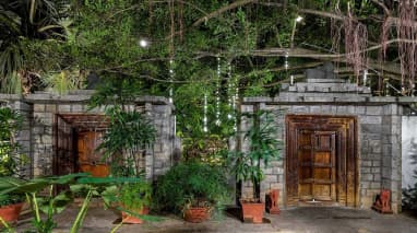 The Tamarind Tree