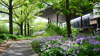 Queens Botanical Garden