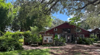 Chase Sanctuary and Wildlife Conservancy, 501-C(3)
