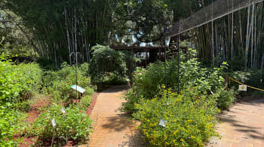 Chase Sanctuary and Wildlife Conservancy, 501-C(3)