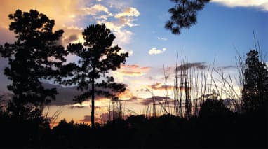 McKinney Roughs Nature Park