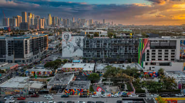 Wynwood Walls