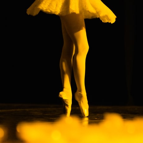 Photo 3 from ﻿Candlelight Ballet: Tchaikovsky's Swan Lake