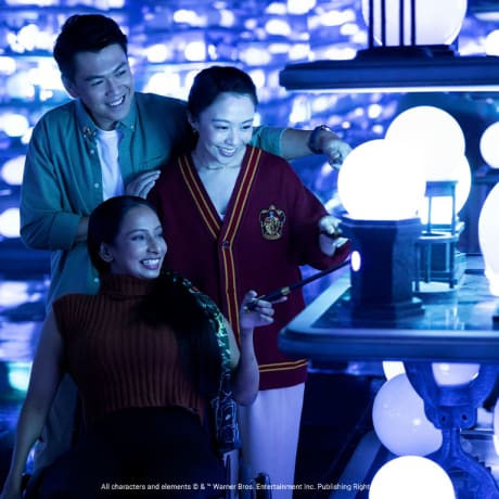 Photo 6 from Harry Potter: Visions of Magic