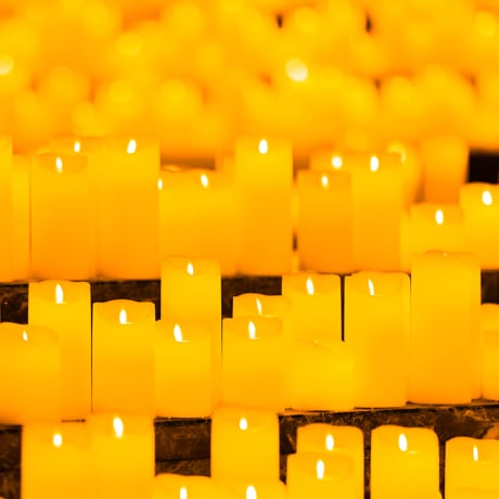 Photo 4 from Candlelight: Tribute to Michael Jackson